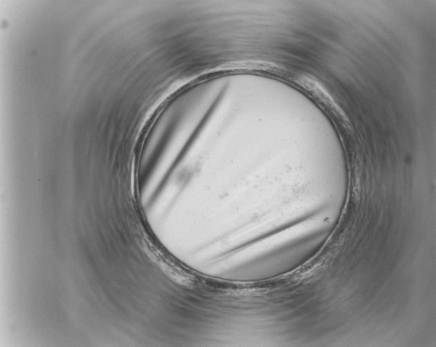 X0000058121276200510212011