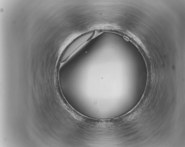 X0000058121277200510212011