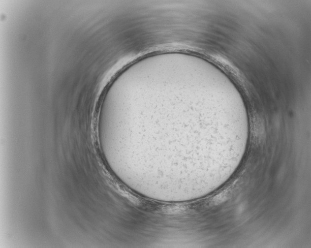 X0000058121278200510212011