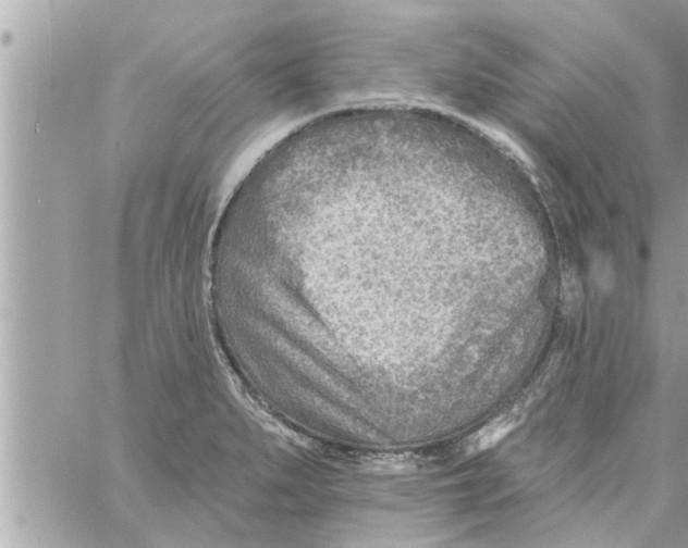 X0000058121279200510212011