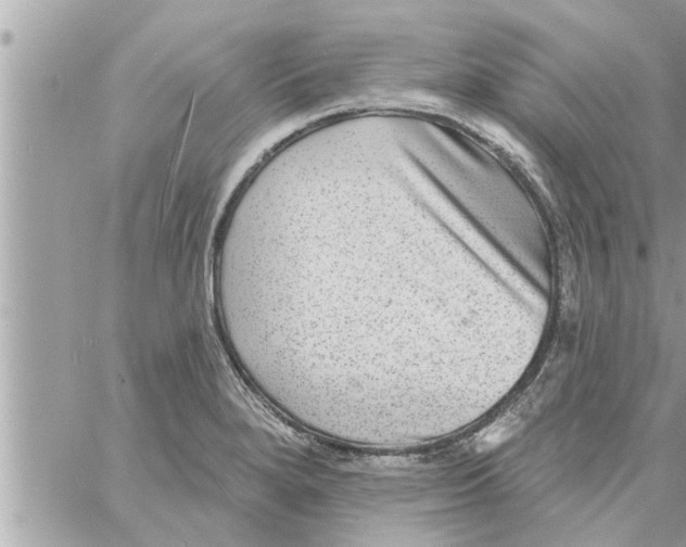 X0000058121280200510212011