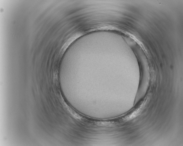 X0000058121281200510212011