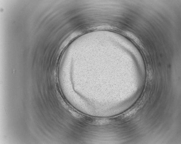 X0000058121282200510212011