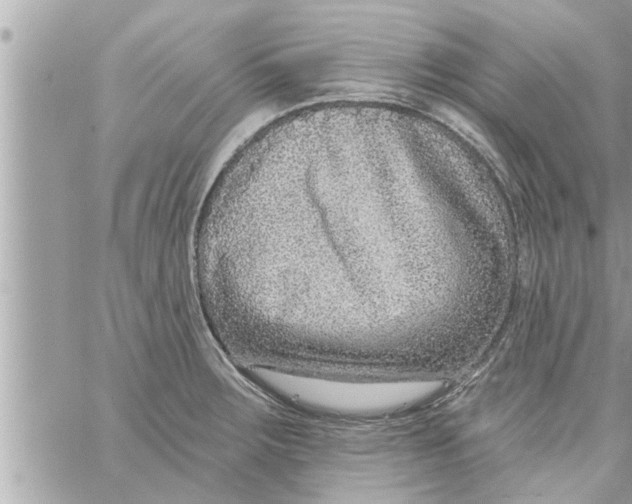 X0000058121283200510212011