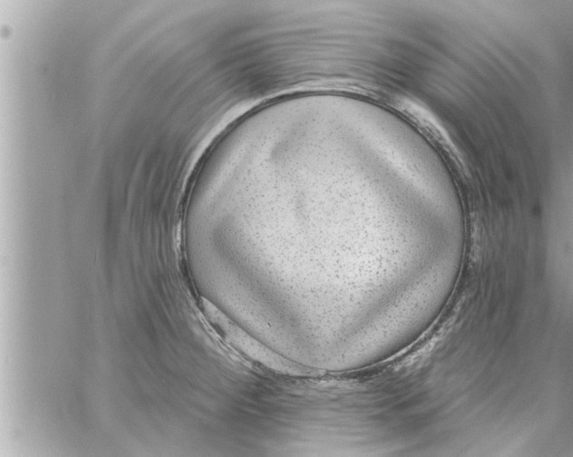 X0000058121284200510212011