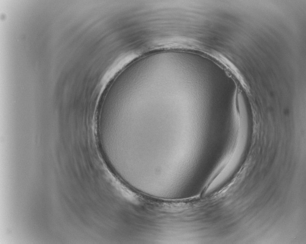 X0000058121285200510212011