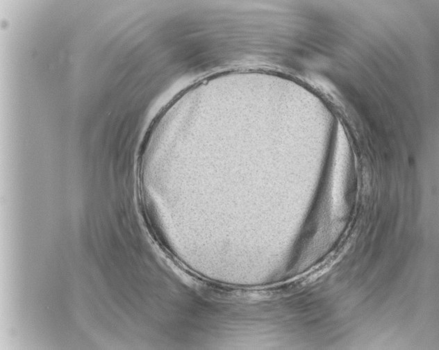 X0000058121286200510212011