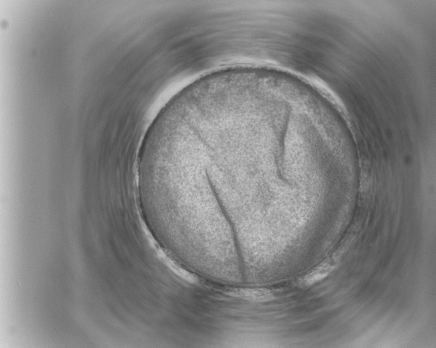 X0000058121287200510212011