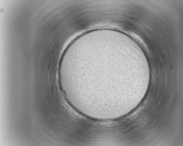 X0000058121288200510212011