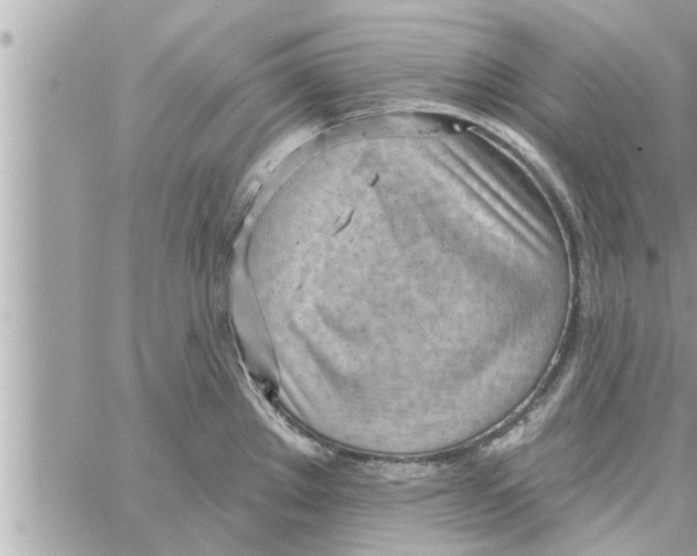 X0000058121289200510212011