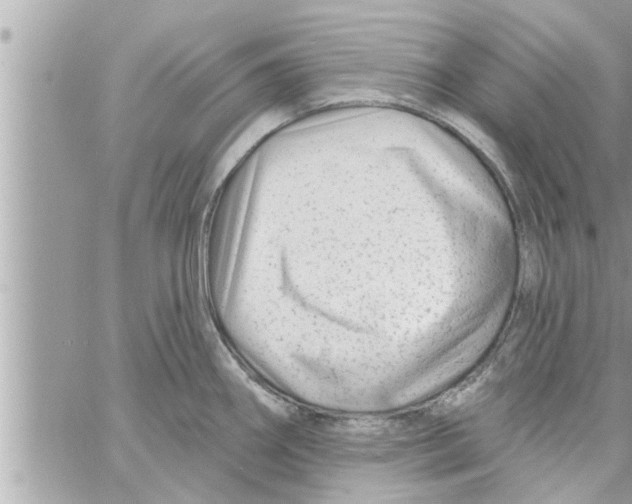 X0000058121290200510212011