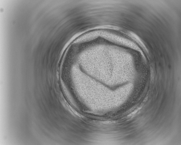 X0000058121292200510212011