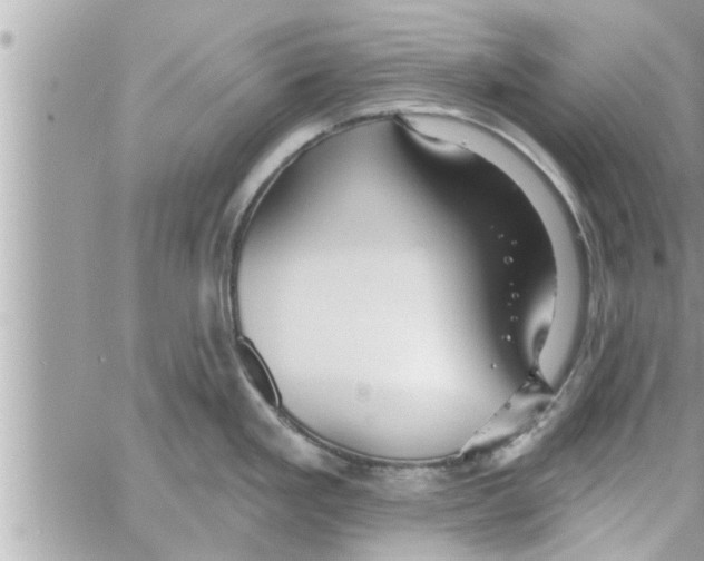 X0000058121293200510212011