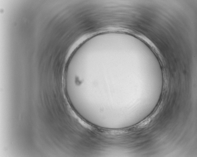 X0000058121294200510212011