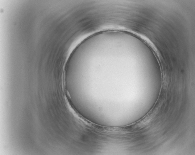 X0000058121295200510212011