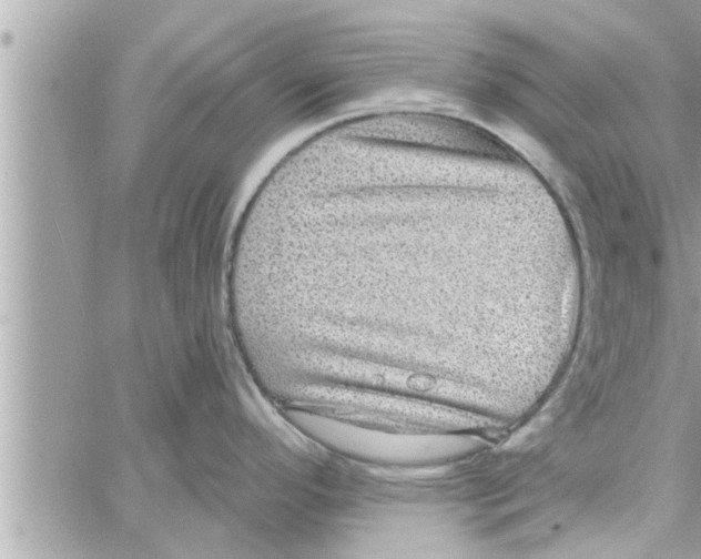 X0000058121296200510212011