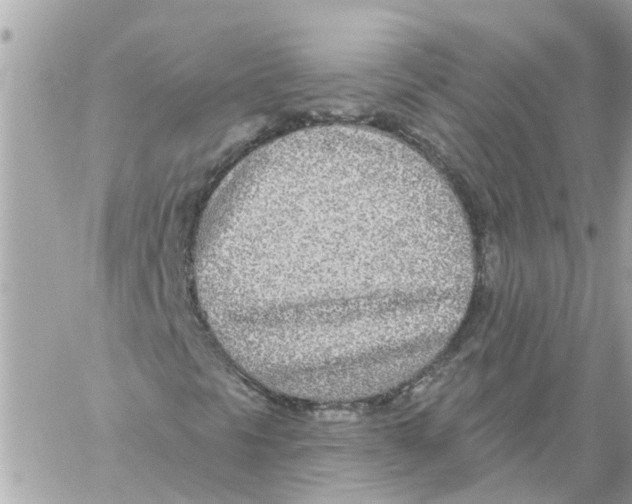 X0000058121297200510212010