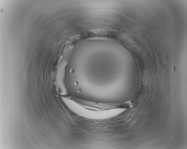 X0000058121298200510212010