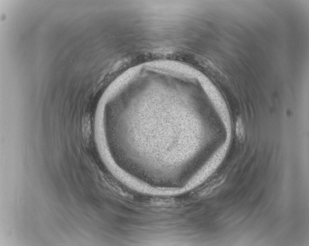 X0000058121299200510212010