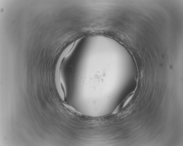 X0000058121300200510212010