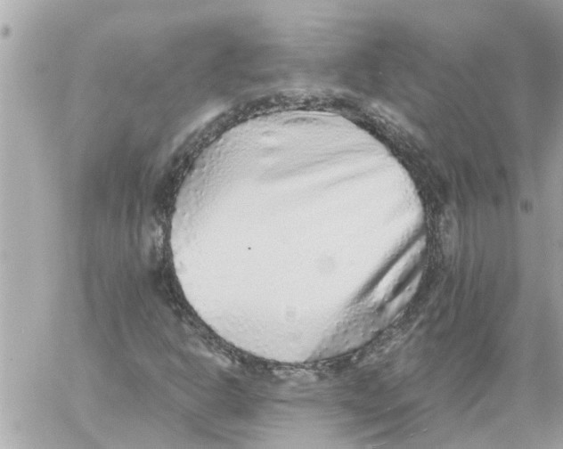 X0000058121302200510212010