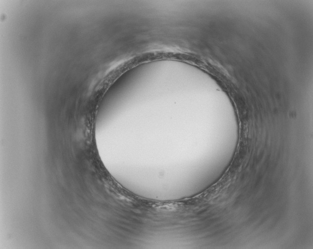 X0000058121303200510212010