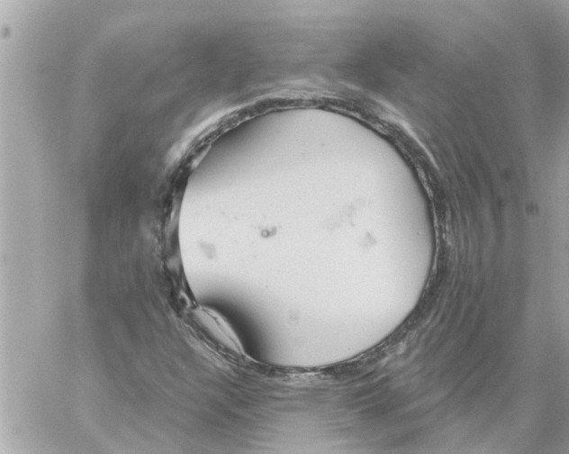 X0000058121304200510212010