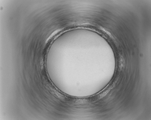 X0000058121306200510212010