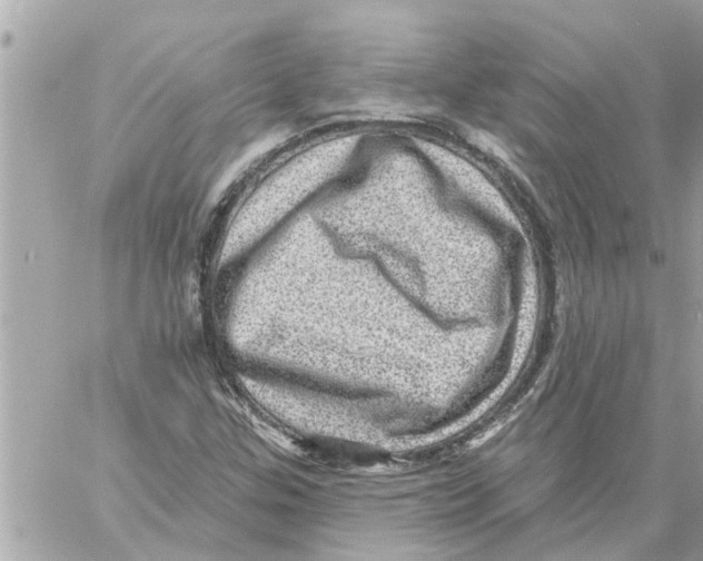 X0000058121307200510212010