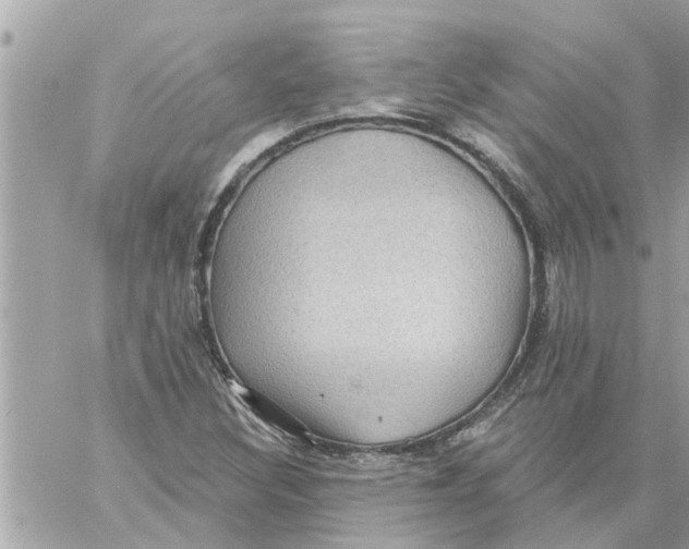 X0000058121308200510212010