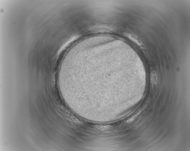 X0000058121309200510212010