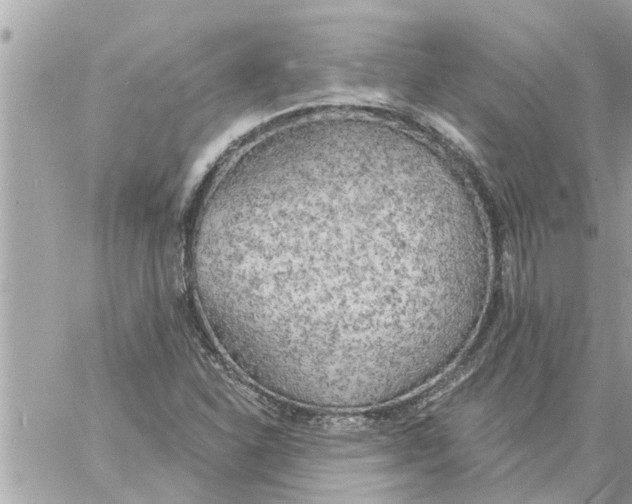 X0000058121310200510212010