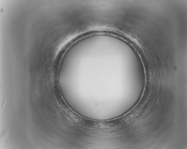 X0000058121311200510212010