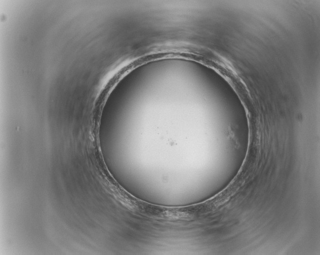 X0000058121312200510212010