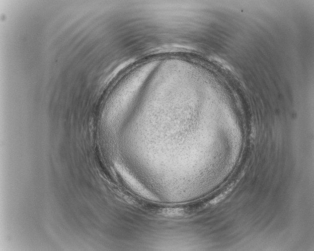 X0000058121313200510212010