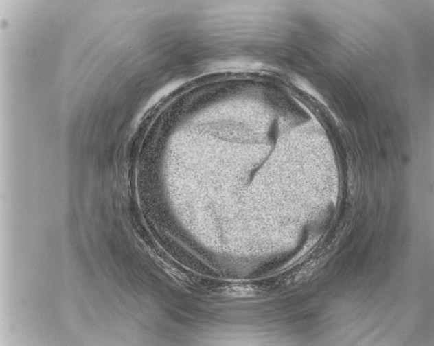 X0000058121315200510212010