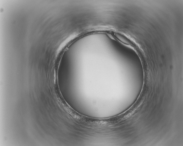 X0000058121317200510212010