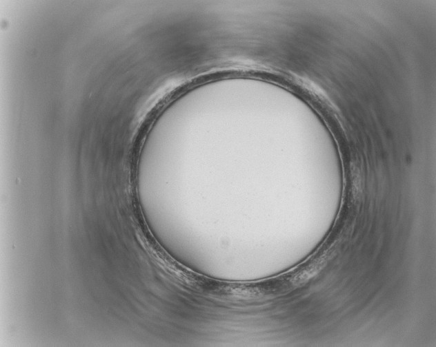 X0000058121318200510212010