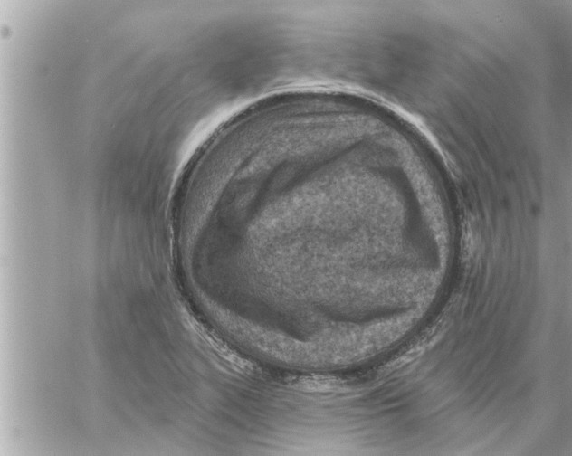 X0000058121319200510212010