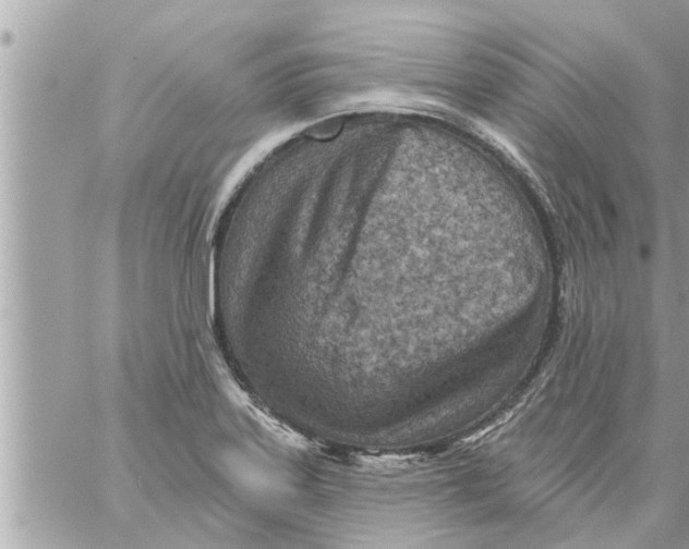 X0000058121323200510212010