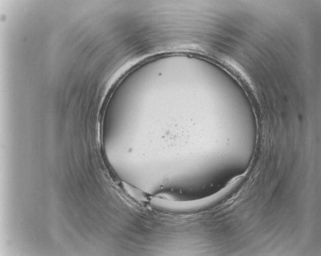 X0000058121324200510212010