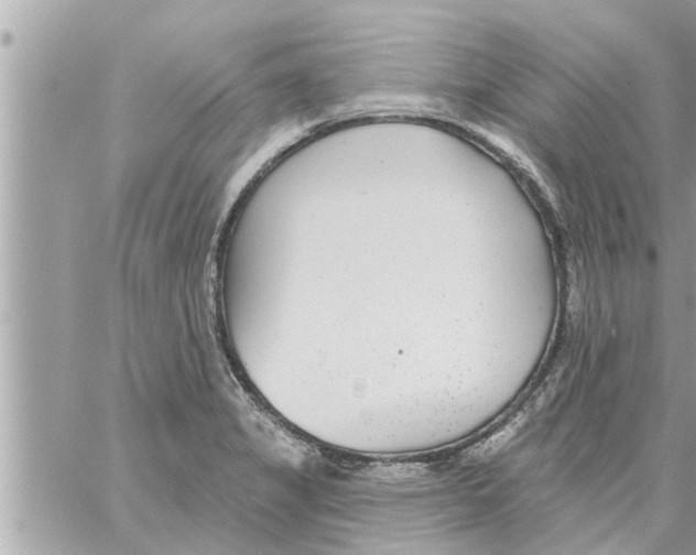 X0000058121325200510212010