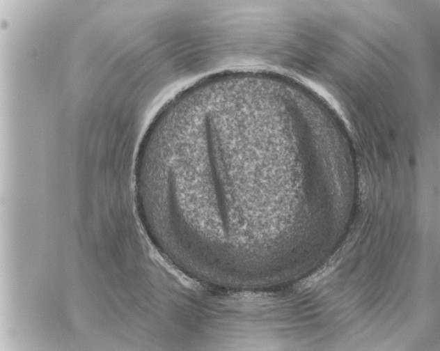 X0000058121327200510212010