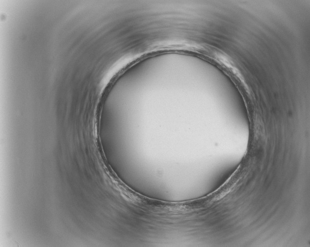 X0000058121328200510212010