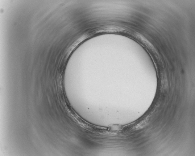 X0000058121329200510212010