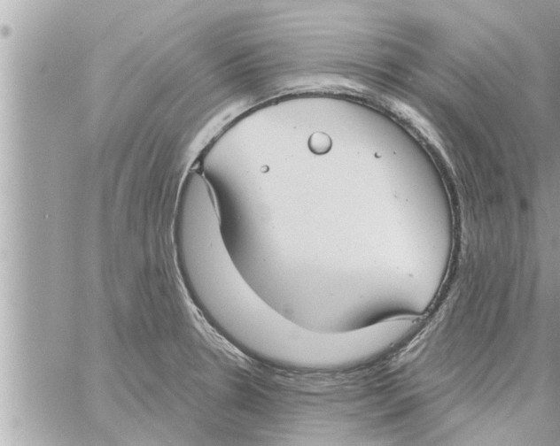 X0000058121330200510212010