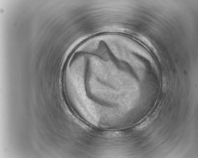 X0000058121331200510212010