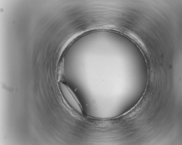 X0000058121332200510212010