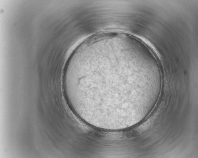 X0000058121333200510212010