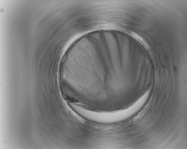 X0000058121334200510212011